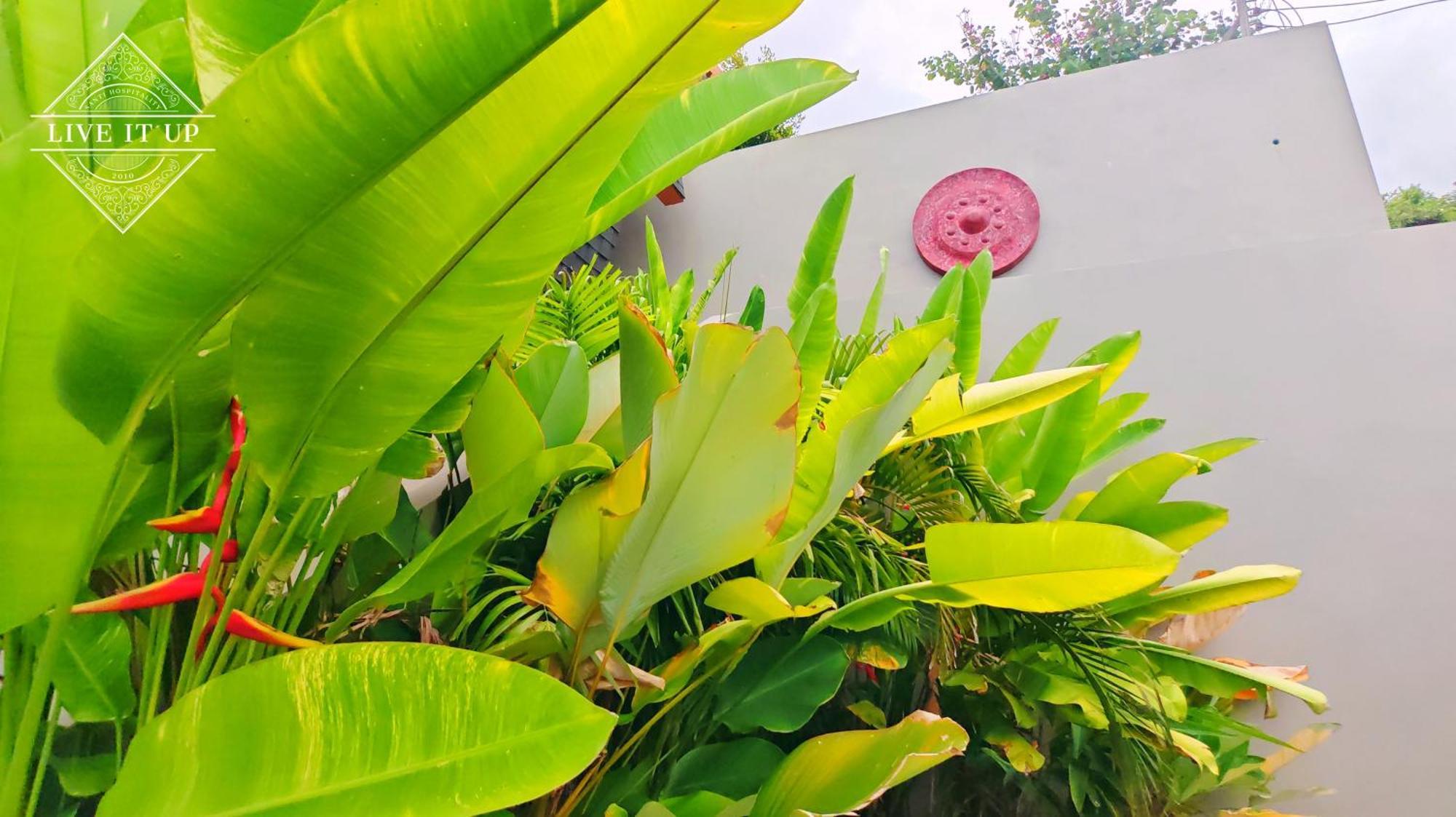 Santi Pura * Koh Samui